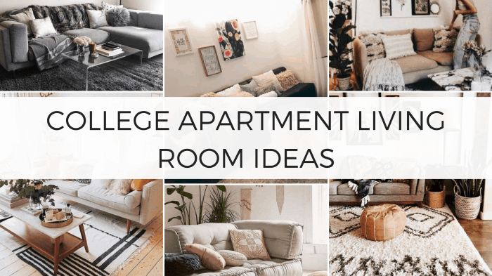 How to decorate apartment in college