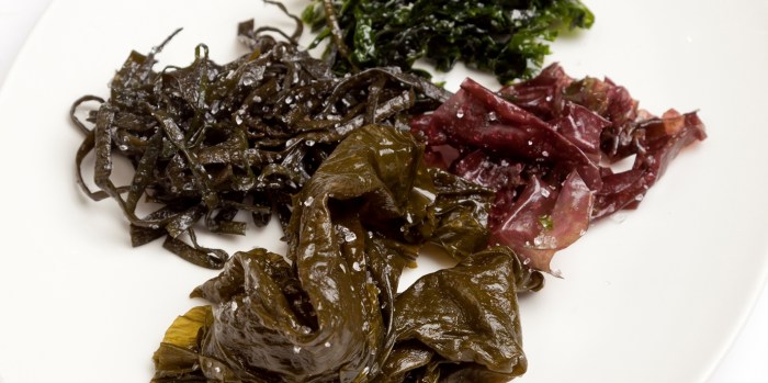 How to Cook Seaweed Chinese Style A Delicious and Authentic Recipe